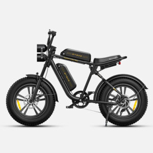 ENGWE M20 Vélo Électrique Fat Bike 250W 48V13Ah Double Suspension